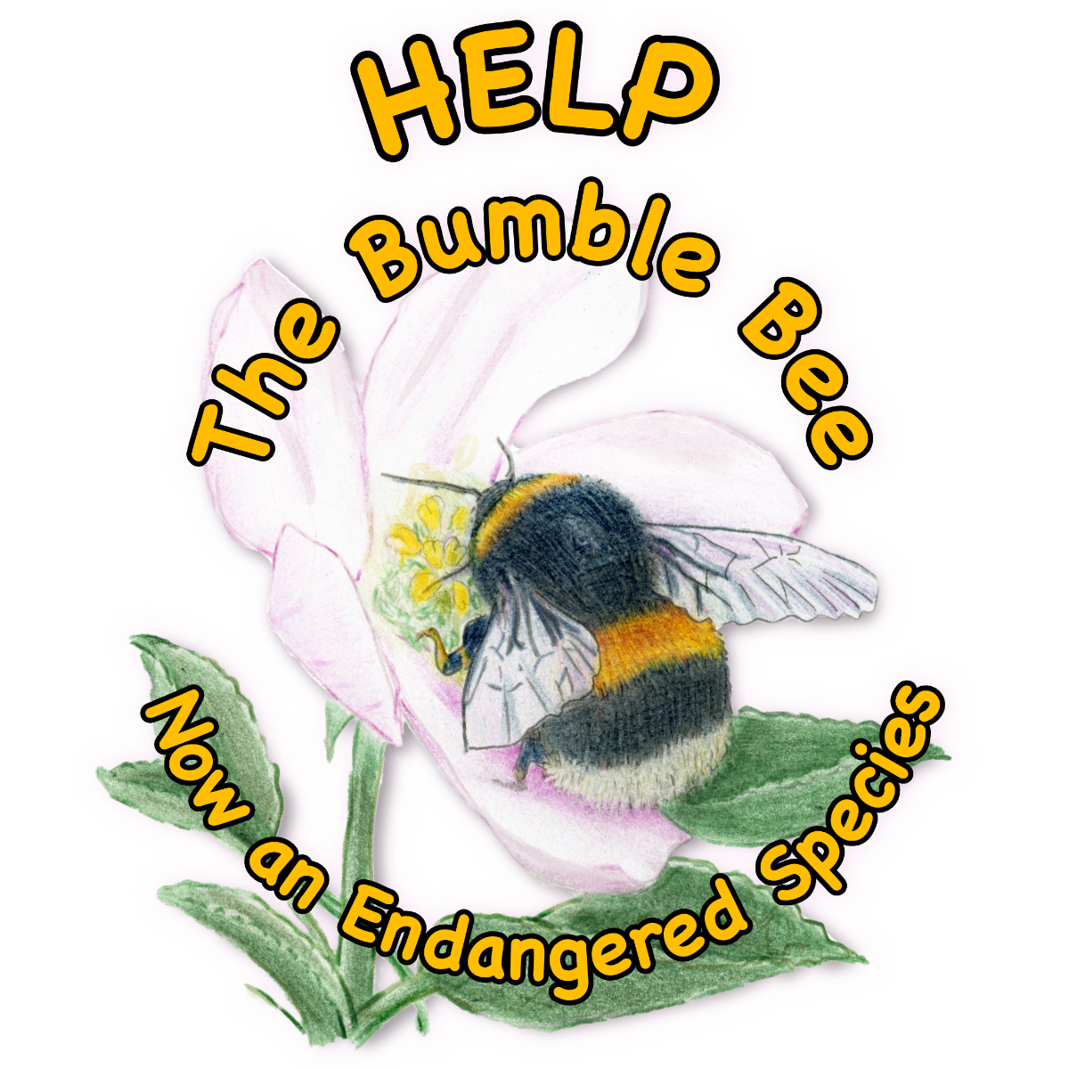 Shop to Help The Bumble Bee