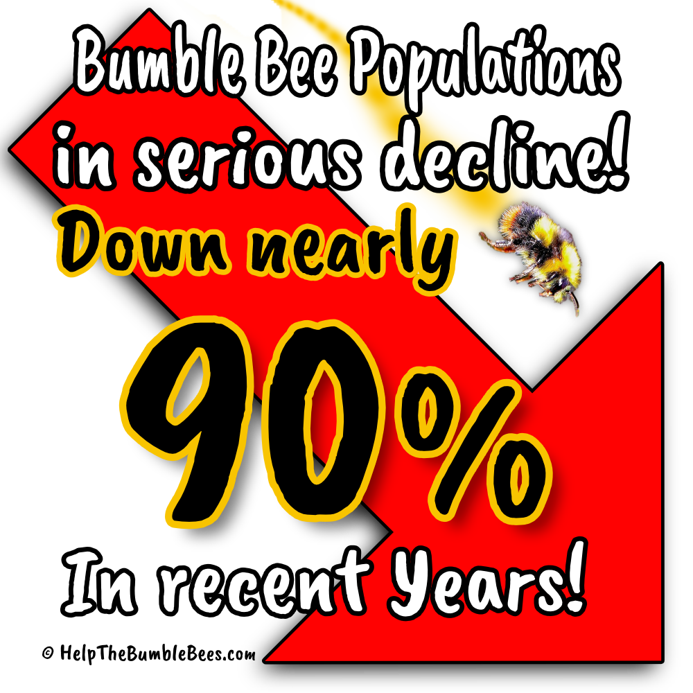 Bumble Bee populations down nearly 90%